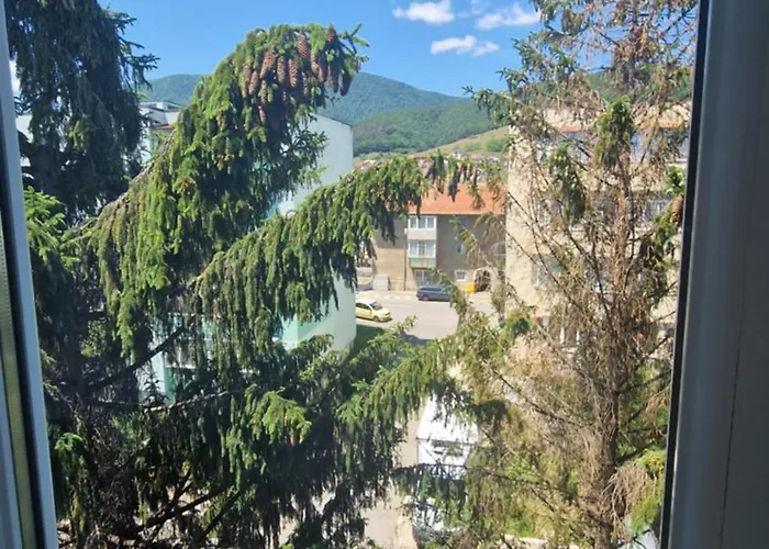 Apartament Coco